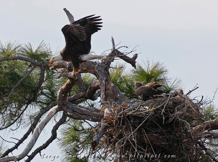 2009-01-04 14-04-40__MG_9772.JPG